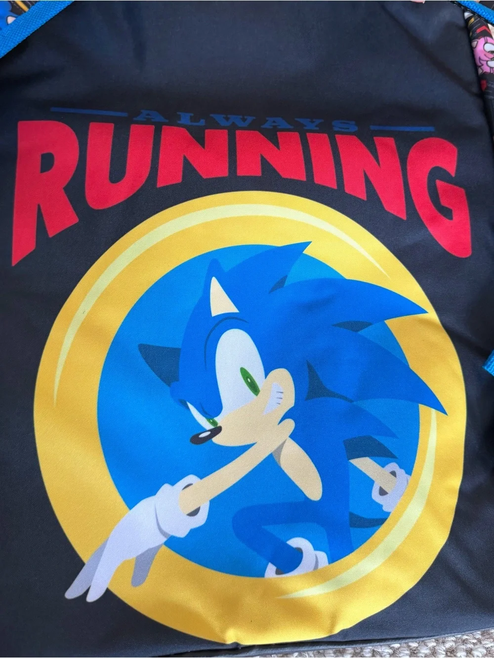Sonic the Hedgehog 17